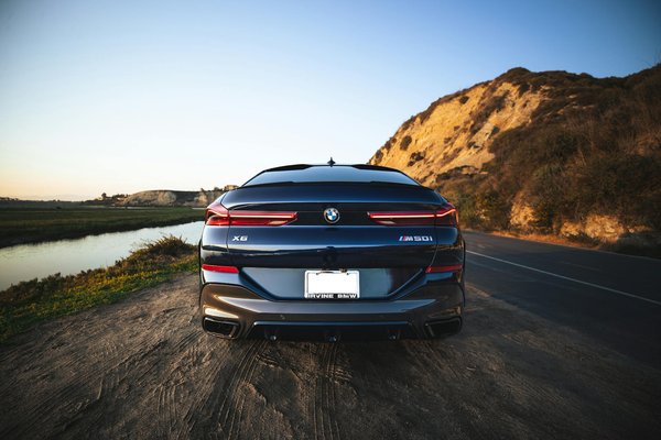 How Can You Improve the Well-Being of Pets in the UK?