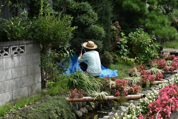 Transform your outdoor space with landscape gardeners in croydon